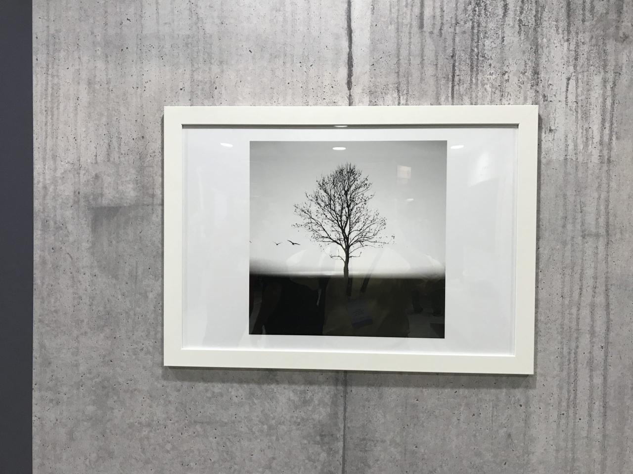 How To Reduce Your Phantom Power Consumption | Boyce Thompson How To Reduce Your Phantom Power Consumption | Boyce Thompson