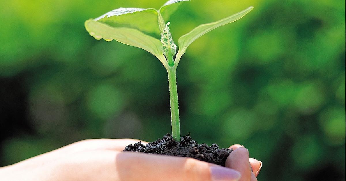 Ethical Banks to Ensure Your Money Is Being Invested Sustainably Ethical Banks to Ensure Your Money Is Being Invested Sustainably