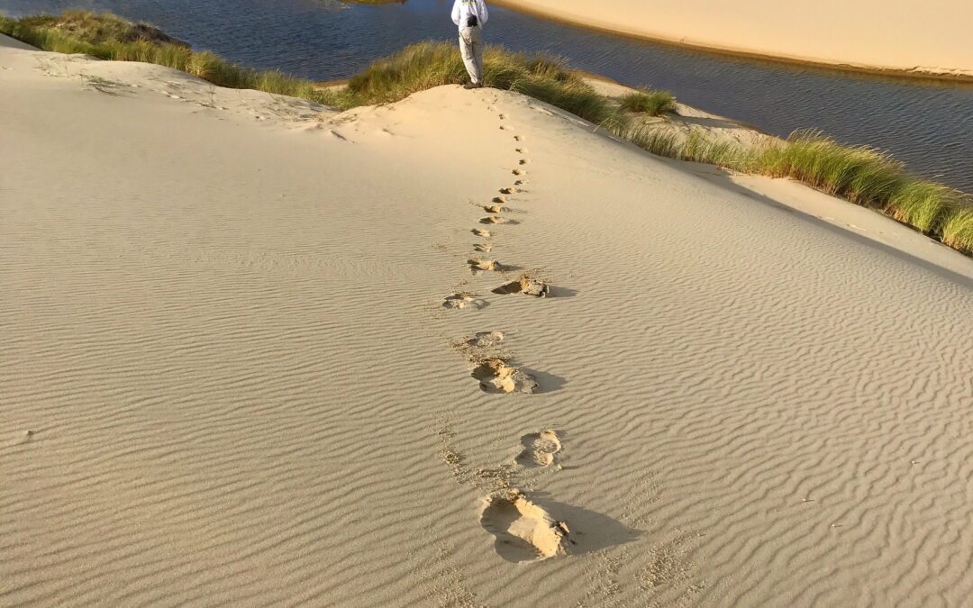 9 Methods to Reduce Your Carbon Footprint at Home 9 Methods to Reduce Your Carbon Footprint at Home