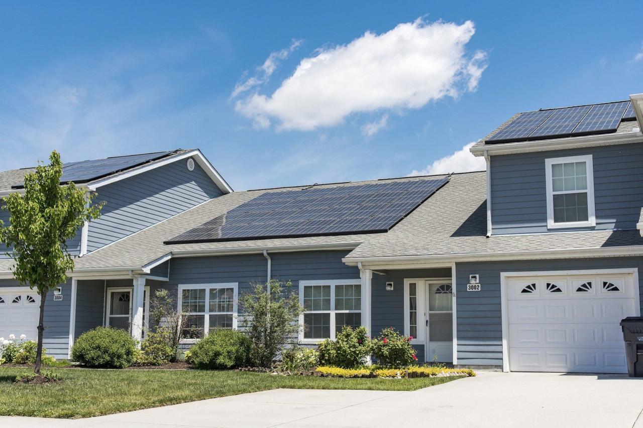 20 Ways to Reduce Carbon Footprint at Home | CRS Automotive Hamilton 20 Ways to Reduce Carbon Footprint at Home | CRS Automotive Hamilton